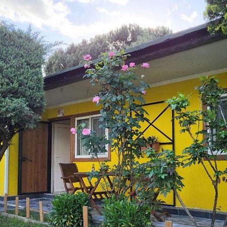 מלון Armutlu Cicek Evler Tatil Koeyue מראה חיצוני תמונה
